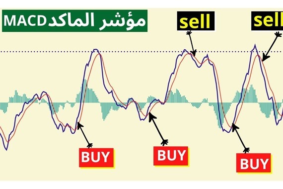 6202412121349635875035 تقنيات مؤشر MACD المتقدمة لتداول العملات المشفرة بنجاح