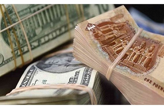 صورة هبوط مفاجئ للدولار في البنوك العاملة بمصر بعد وديعة السعودية